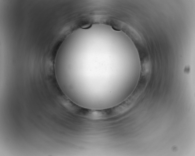 X0000103320522200809192143