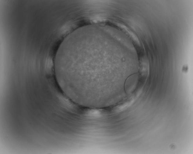 X0000103320523200809192143