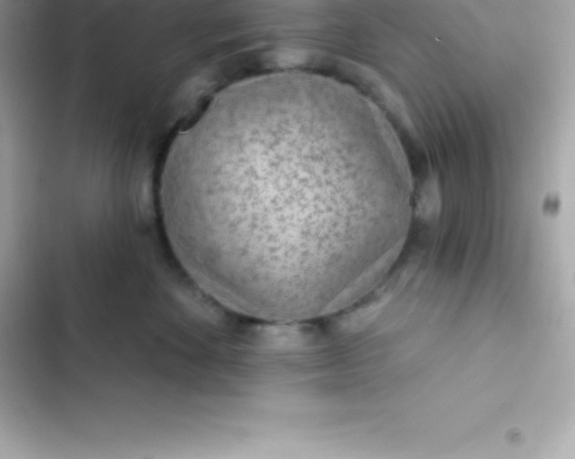 X0000103320524200809192143