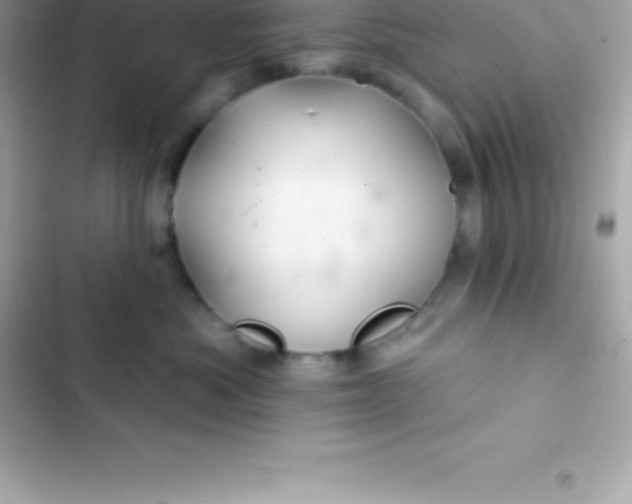 X0000103320525200809192143