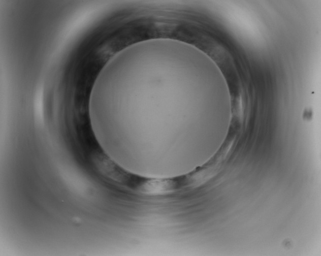 X0000103320526200809192143