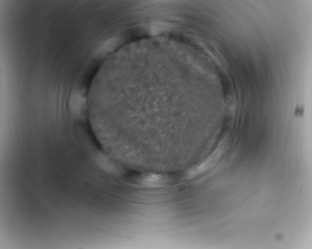 X0000103320527200809192143