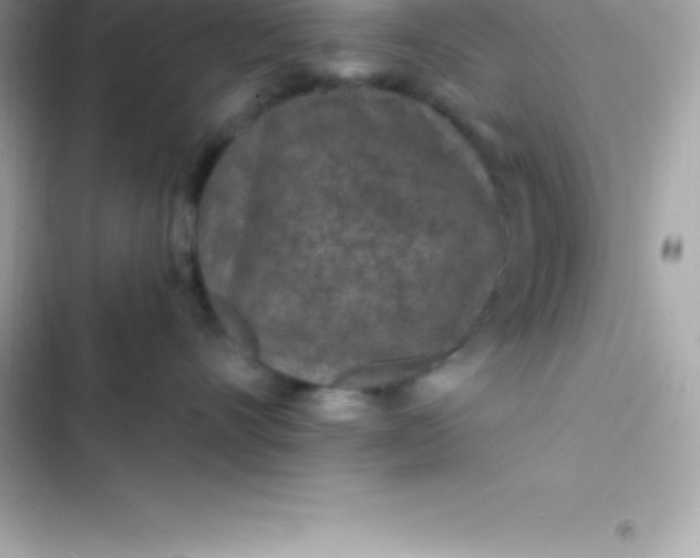 X0000103320528200809192143