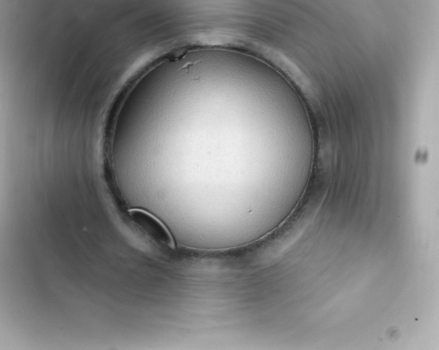 X0000103320530200809192142