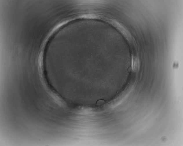 X0000103320531200809192142