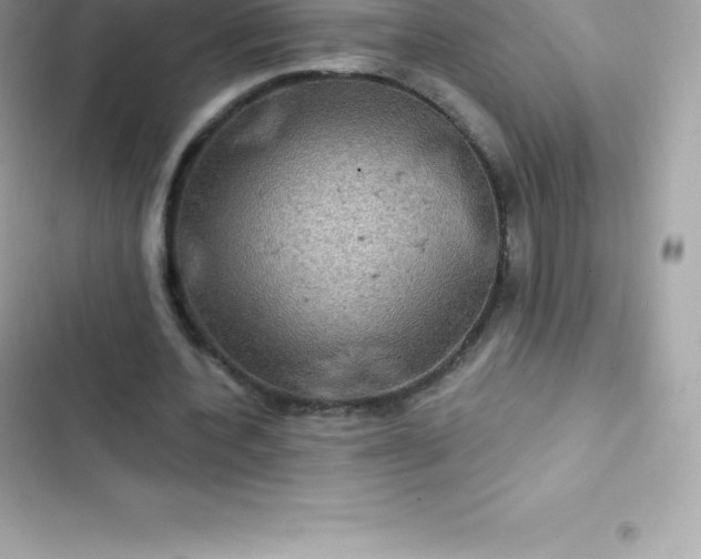 X0000103320532200809192142