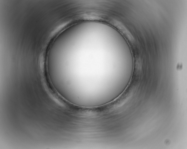 X0000103320533200809192142