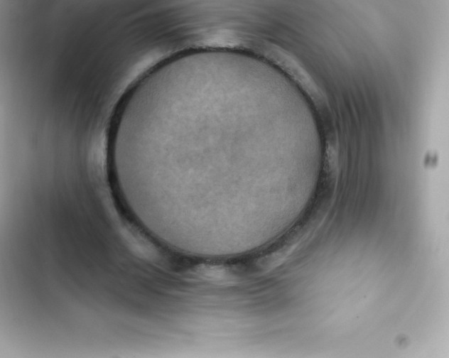 X0000103320534200809192142