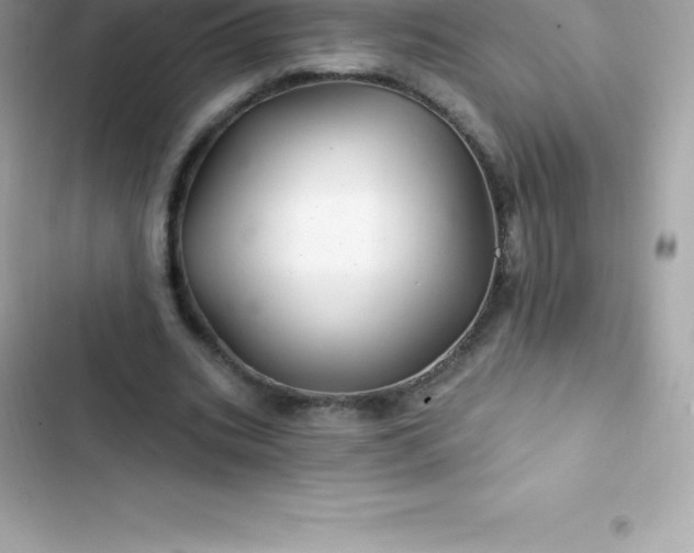 X0000103320535200809192142