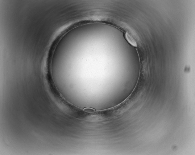 X0000103320536200809192142