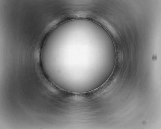 X0000103320537200809192142