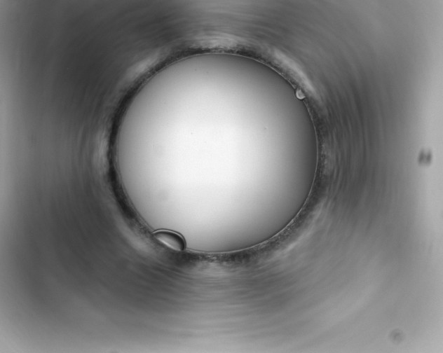 X0000103320538200809192142