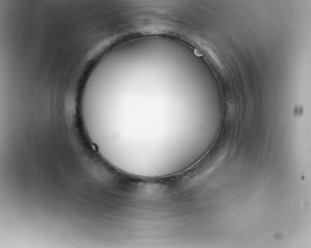 X0000103320539200809192142