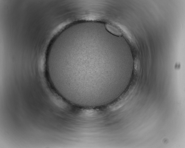 X0000103320540200809192142