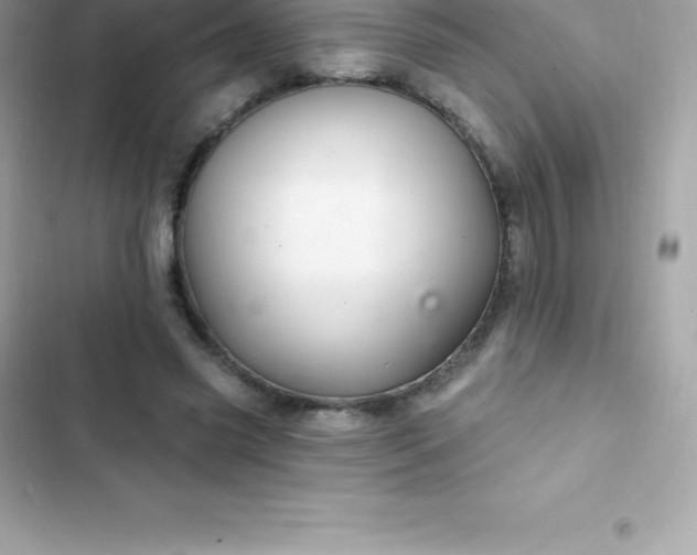 X0000103320541200809192142