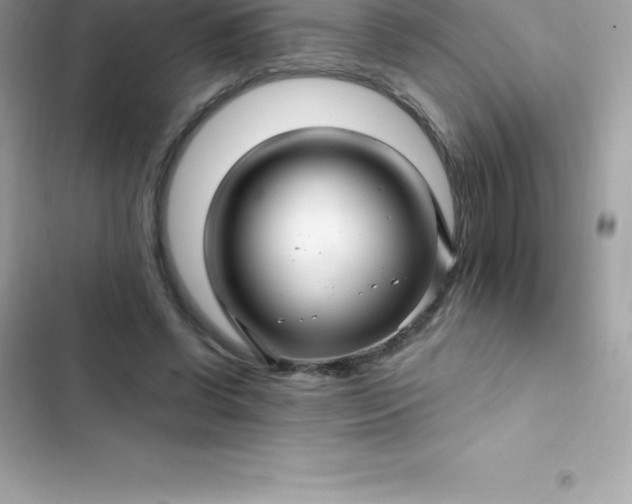 X0000103320542200809192142