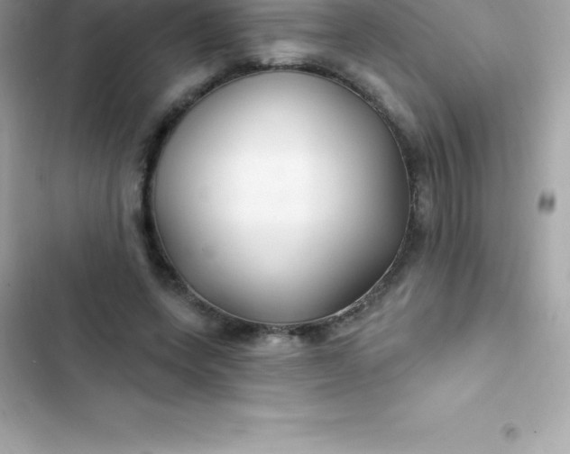 X0000103320543200809192142