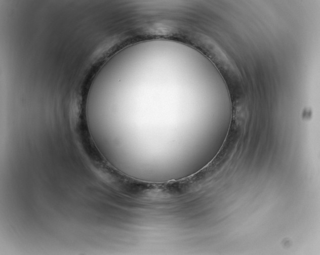 X0000103320544200809192142