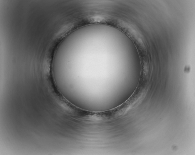 X0000103320545200809192143