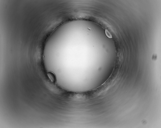 X0000103320546200809192143