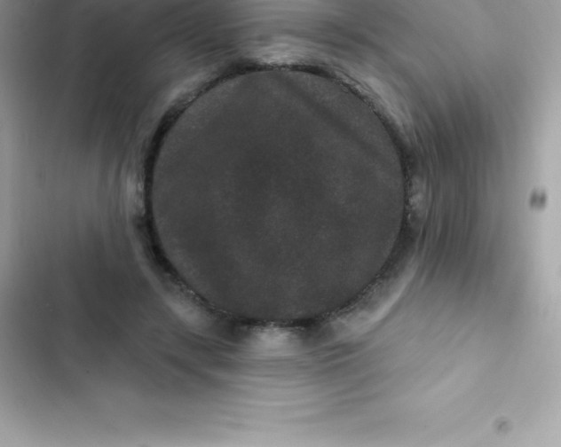 X0000103320547200809192143