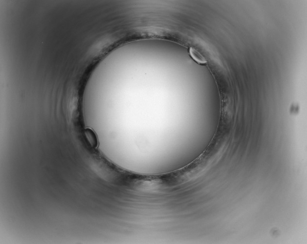 X0000103320548200809192143