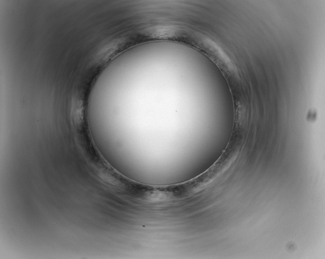 X0000103320549200809192143