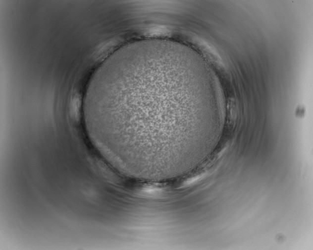 X0000103320550200809192143