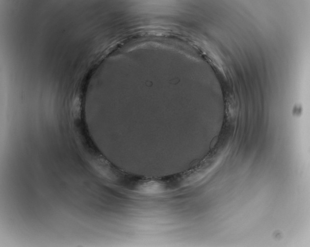 X0000103320551200809192143