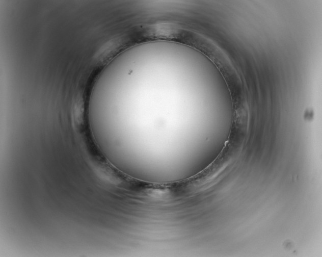 X0000103320552200809192143