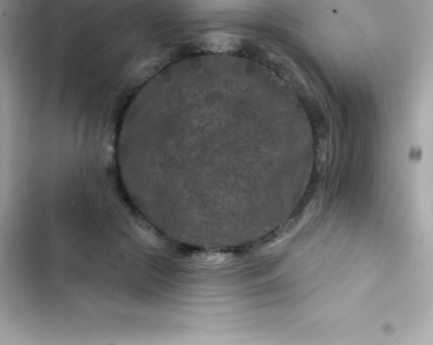 X0000103320553200809192143