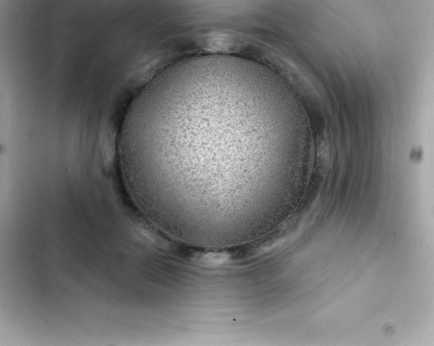 X0000103320554200809192143