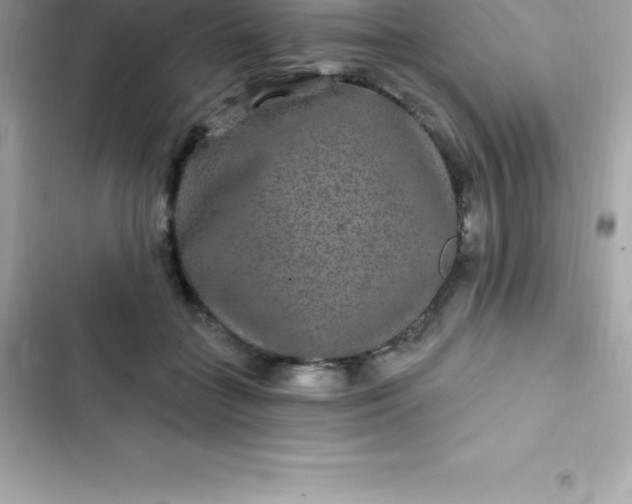 X0000103320555200809192143