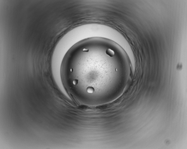 X0000103320556200809192143