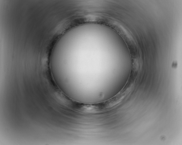 X0000103320557200809192143