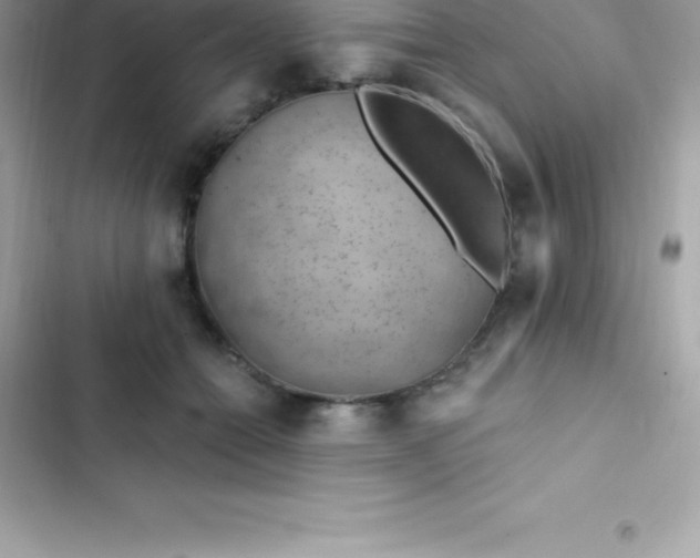 X0000103320558200809192143