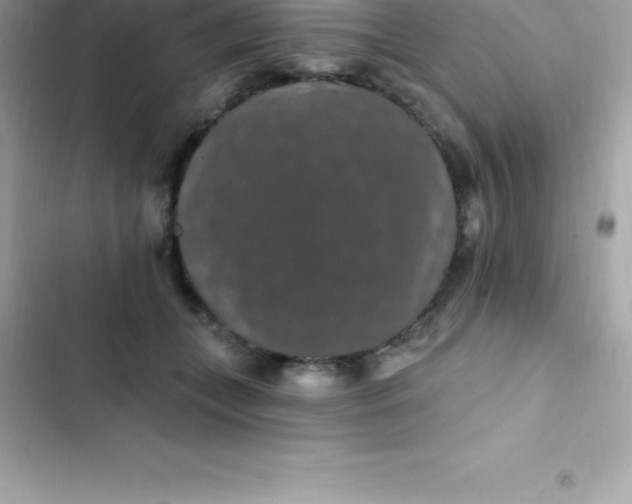 X0000103320559200809192143