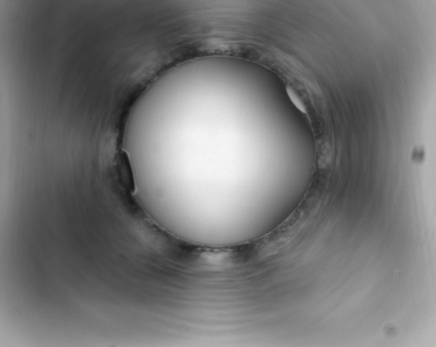 X0000103320560200809192143