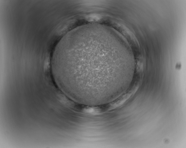 X0000103320561200809192143