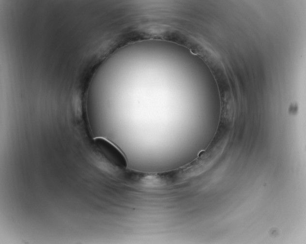 X0000103320562200809192143