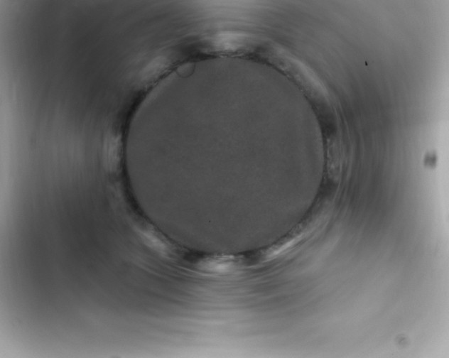 X0000103320563200809192143