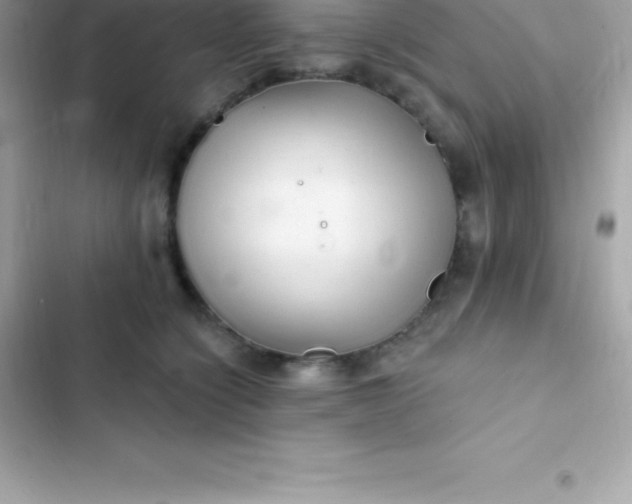 X0000103320564200809192143