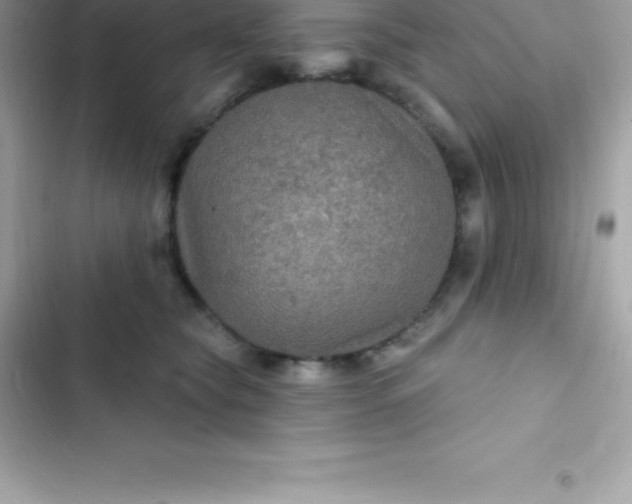 X0000103320565200809192143