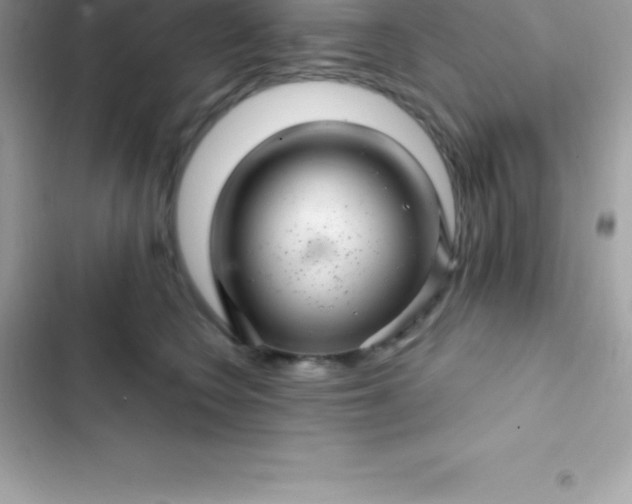 X0000103320566200809192143