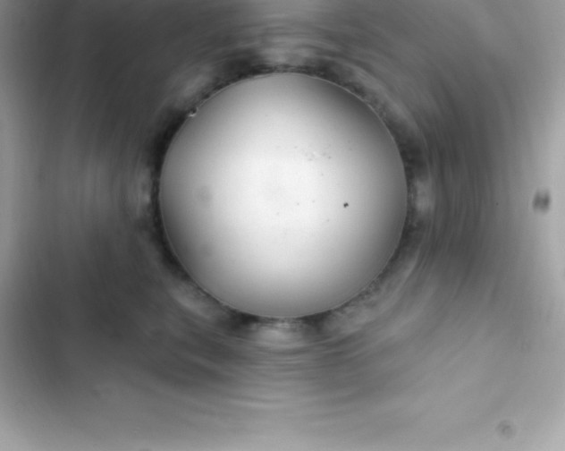 X0000103320567200809192143