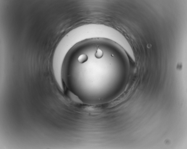 X0000103320568200809192143