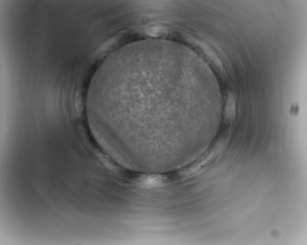 X0000103320569200809192143