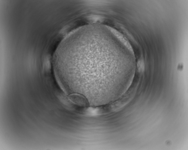 X0000103320570200809192143