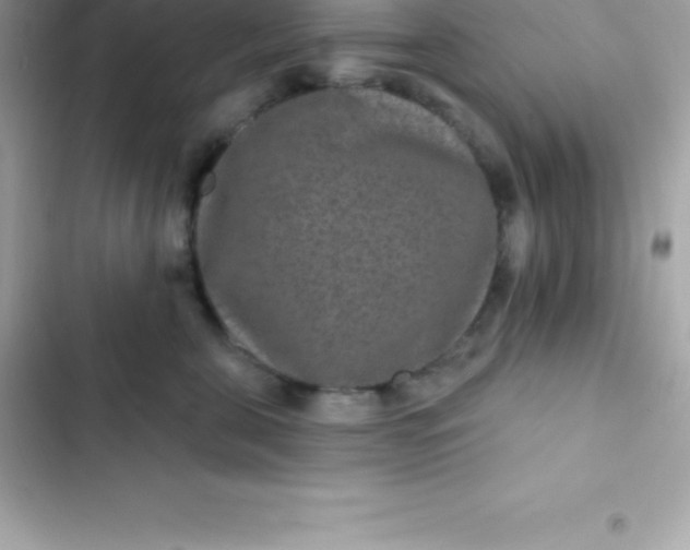 X0000103320571200809192143