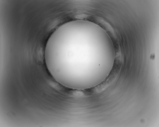 X0000103320572200809192143